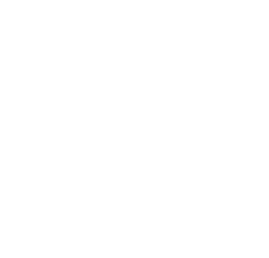 GESTIÓN RRSS