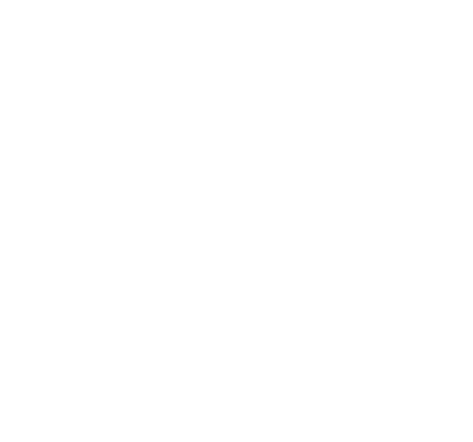 DESARROLLO WEB